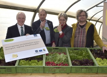 Projekt \"Wintergemüsevielfalt\": ecoplus-Geschäftsführer Mag. Helmut Miernicki, Rudi Vierbauch, Obmann von Bio Austria, Wirtschafts-Landesrätin Dr. Petra Bohuslav und Gerhard Zoubek vom Biohof Adamah in Glinzendorf. (v.l.n.r.)