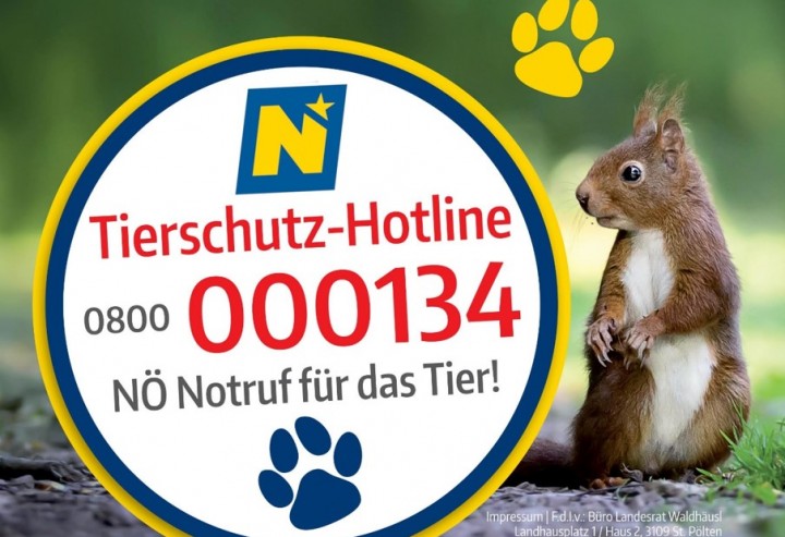 NÖ Tierschutzhotline