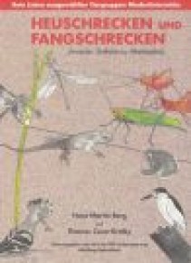 Heuschrecken und Fangschrecken