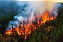 Waldbrand