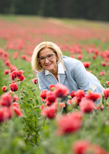Landeshauptfrau Johanna Mikl-Leitner in einem der vielen Mohnfelder im Waldviertel.