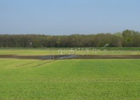 Artensicherungsprogramm Wiesenbrüter in der zentralen Feuchten Ebene