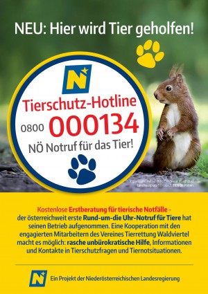 Plakat der Tierschutz-Hotline