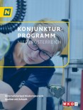 NÖ Konjunkturprogramm