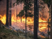 Waldbrandübung am 08. April im Bereich Hermannskogel - Cobenzl