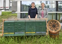 (v.l.) Landesrätin Susanne Rosenkranz und Imkerin Verena Hagelkruys bei den Bienenstöcken am Dach des Landhauses in St. Pölten.