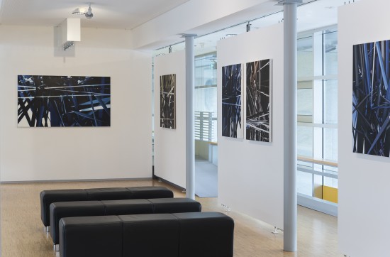 Bild einer Ausstellung