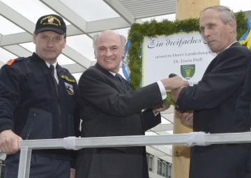 Der Maibaum im Regierungsviertel stammt aus der Marktgemeinde Würmla.