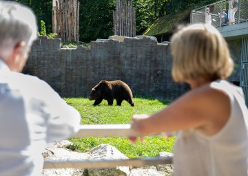 Neue Erlebniswelt für Tierpark Stadt Haag Neue Erlebniswelt für Tierpark Stadt Haag