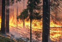 Behördeninfo - Lagemeldungen