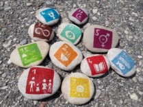 Umsetzung internationaler Nachhaltigkeitsziele (SDG) durch das Niederösterreichische Klima- und Energieprogramm (KEP)