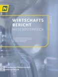 Jährliche Wirtschaftsberichte