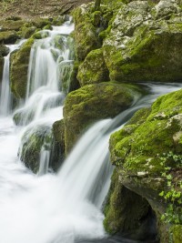 Förderungen aus dem Bereich Umwelt &amp; Wasser