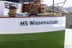 MS Wissenschaft in Niederösterreich