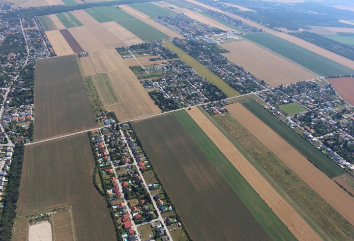 Veranstaltungsvorschau/-rückblick