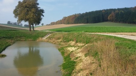 Wasserbau/Wasserrückhalt