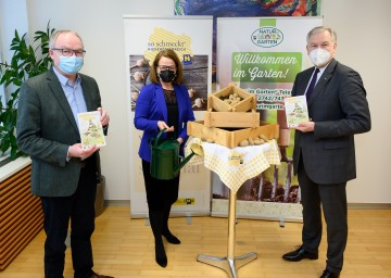 LH-Stellvertreter Stephan Pernkopf, Landesrätin Christiane Teschl-Hofmeister und Landesrat Martin Eichtinger (v.l.n.r.)