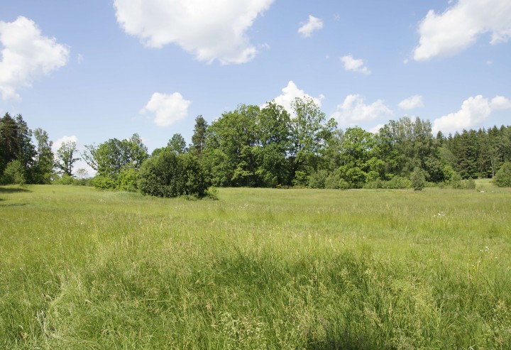 Anmeldung für die ÖPUL Naturschutzmaßnahme