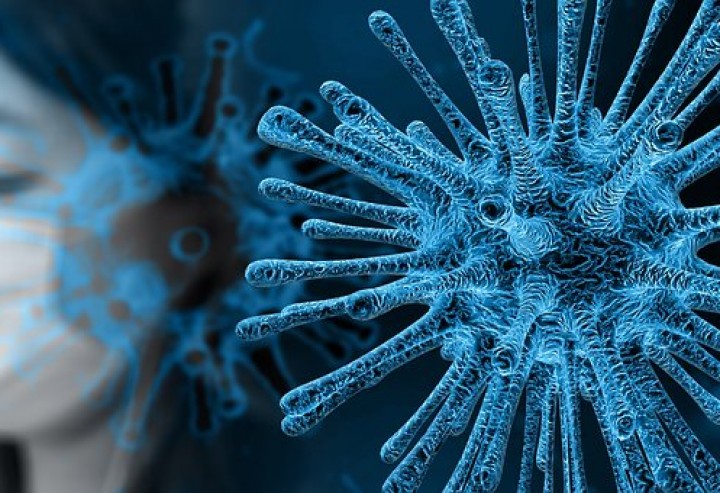 Biologische Gefahren - Seuche/Epidemie/Pandemie