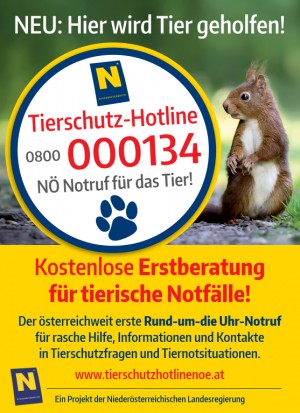 Plakat der Tierschutz-Hotline