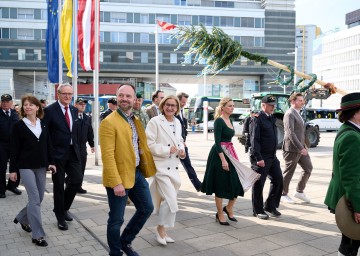 Landhaus-Maibaum kommt heuer aus der Marktgemeinde Asperhofen