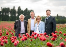 Waldland-Obmann Robert Haidl, Waldland-Geschäftsführer Franz Tiefenbacher, Landeshauptfrau Johanna Mikl-Leitner und Landwirtschaftskammer NÖ Präsident Johannes Schmuckenschlager (v.l.n.r.) mitten in einem Mohnfeld bei Friedersbach.