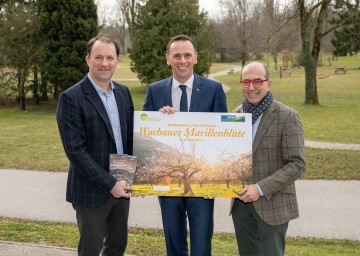 Im Bild von links nach rechts: Bernhard Schröder (Donau Niederösterreich GmbH), Landesrat Jochen Danninger und Andreas Nunzer (Welterbegemeinden Wachau) laden zur Marillenblüte in die Wachau 