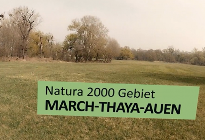 Natura 2000 – anschaulich erklärt