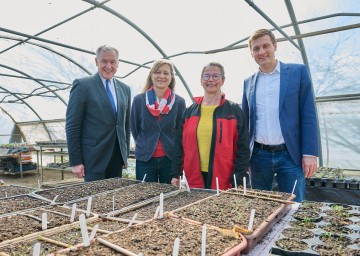 Land und AMS investieren jährlich zusammen mehr als eine Million Euro in das Beschäftigungsprojekt "fairwurzelt". Im Bild von links nach rechts: Landesrat Martin Eichtinger, Barbara Seyrl und Helga Hanreich von fairwurzelt, AMS NÖ-GF Sven Hergovich 