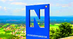 Wahlen