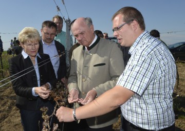 Landeshauptmann Pröll sprach mit betroffenen Landwirten, darunter etwa Markus Laurer, Weinbauer aus Deinzendorf.