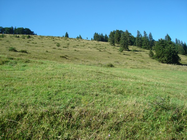 Blick auf die Eisensteinweide