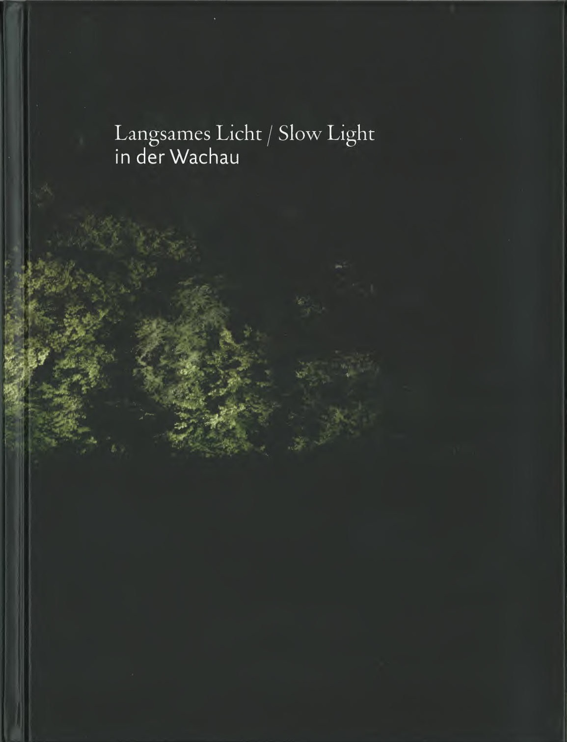 Cover Langsames Licht