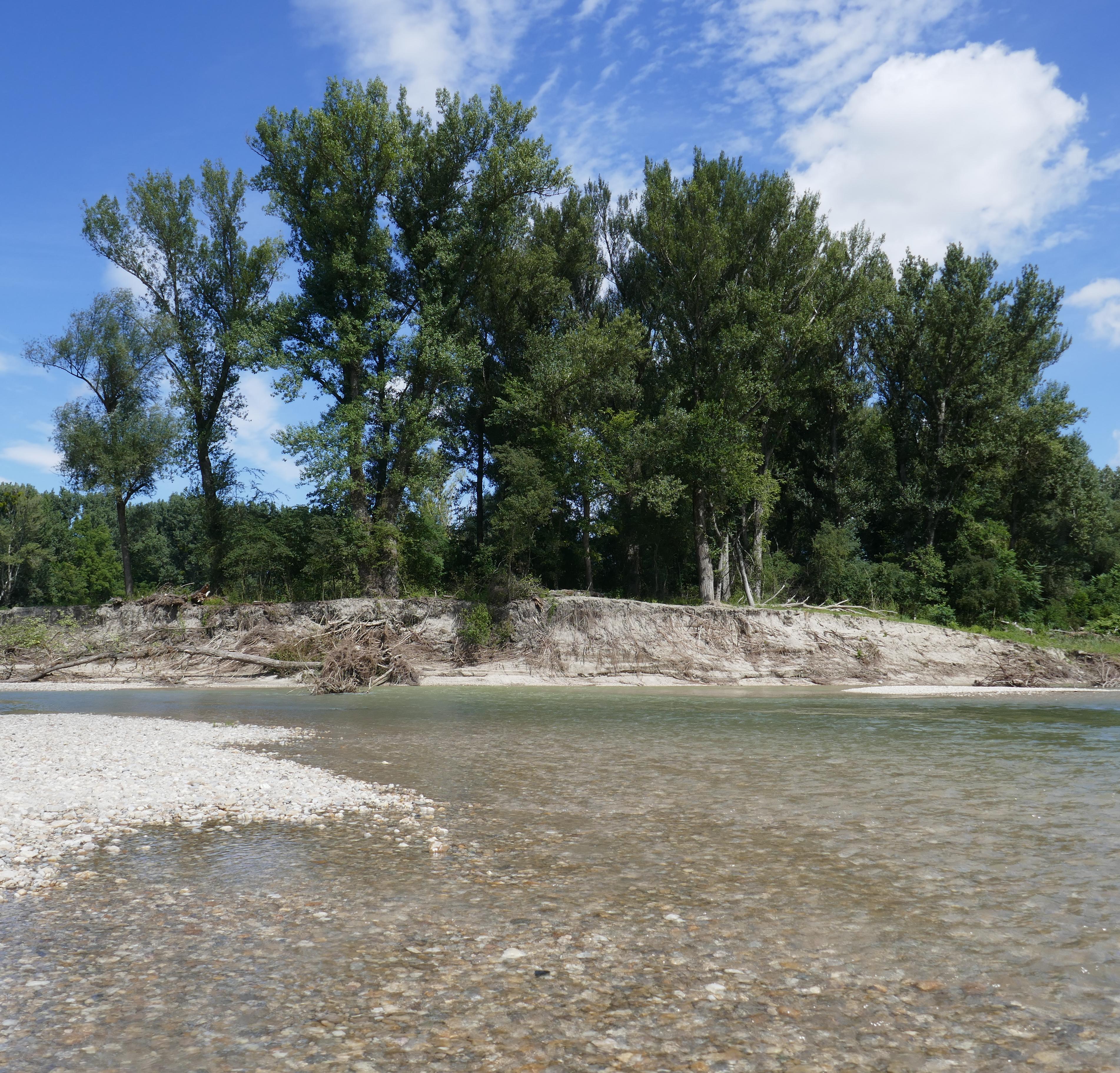 Spittelauer Arm der Donau