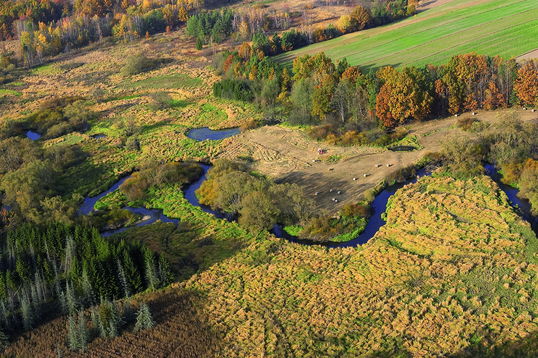 Feuchtgebietslandschaft