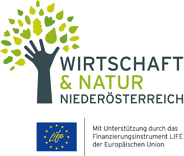 Logo Wirtschaft und Natur